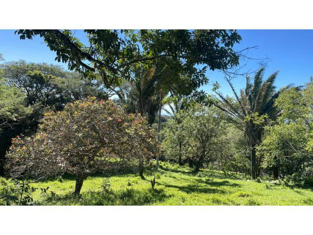 Nature Paradise Farm for sale in the mountains of Quebrada Grande, Building potential property 30 minutes away from Liberia - Gallery image 27
