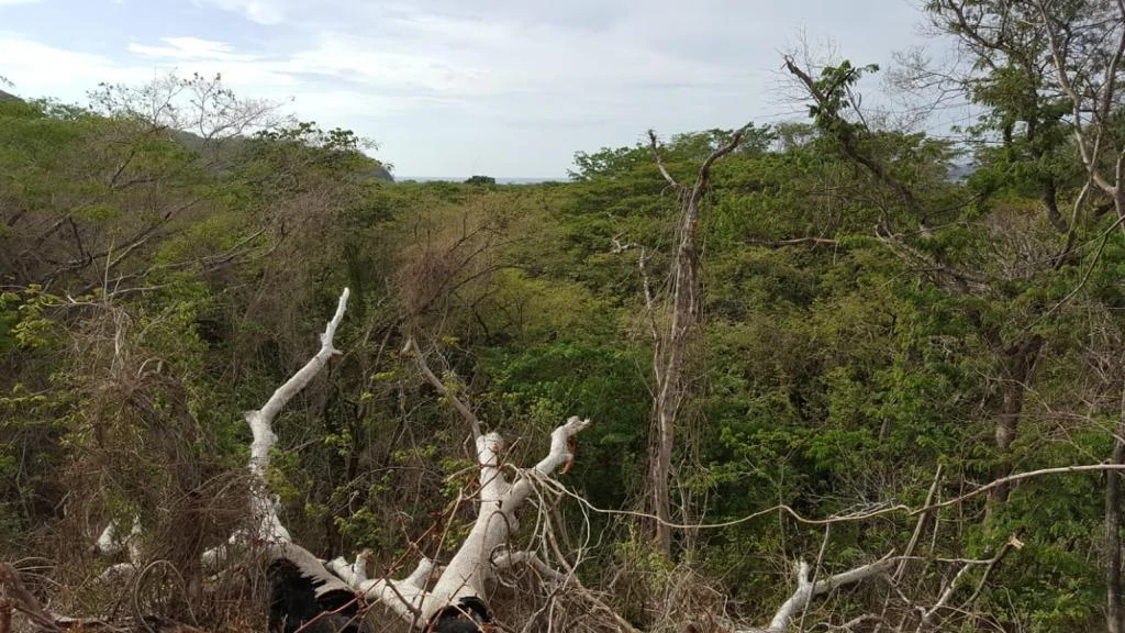Ocean view property in Playa Conchal - Gallery image 2