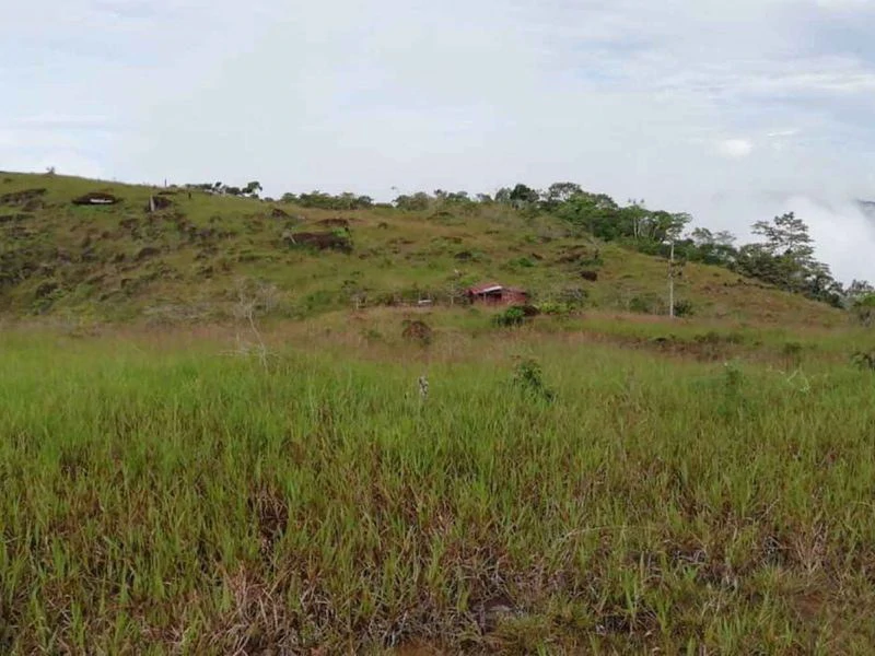 Amazing Self-sufficient 315 Acre Farm - Gallery image 10