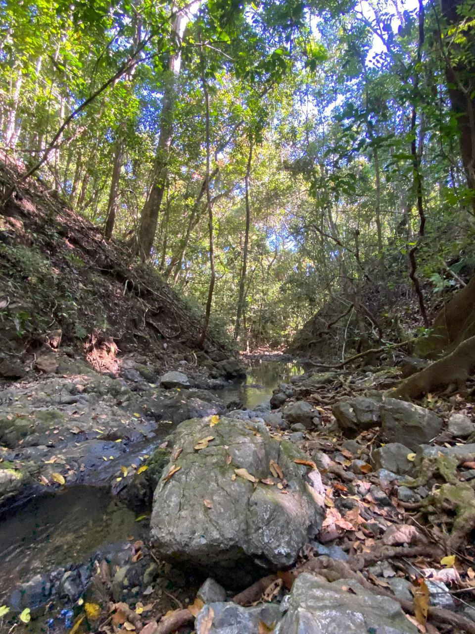 6000m2 Land Near Montezuma and Santa Teresa: ixed use, commercial and residential - Gallery image 8