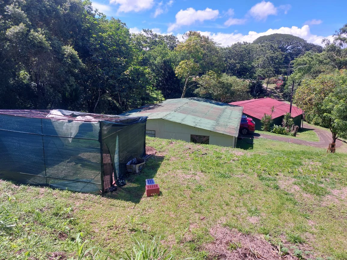 FINCA LA TEJONA - Gallery image 5