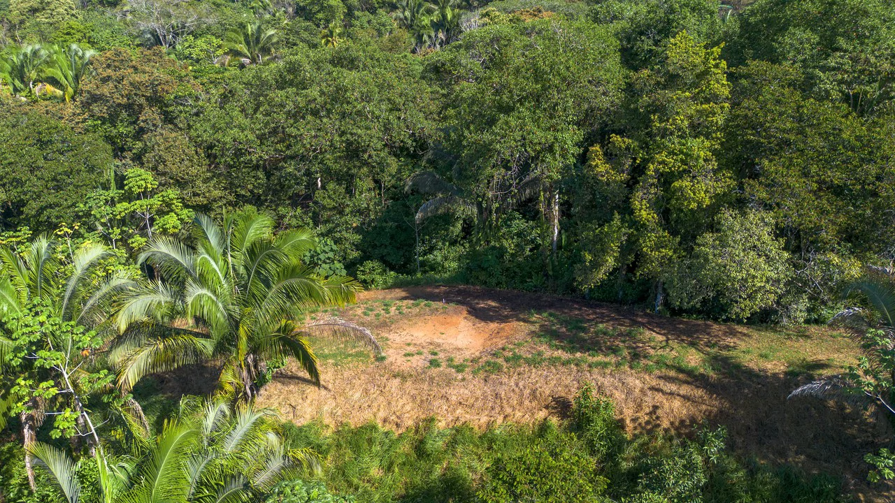 Surfers Paradise! Two Usable Lots for Building in Playa Hermosa Near Uvita!!: Mountain Home Construction Site For Sale in Playa Hermosa - Gallery image 5