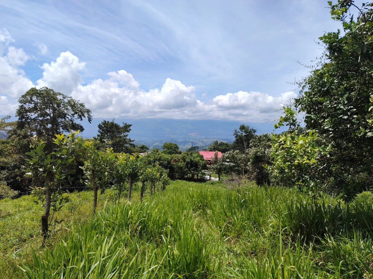 Lote en venta-ubicado en San Juan Bosco, Perez Zeledon: Mountain Home Construction Site For Sale in Daniel Flores - Gallery image 11