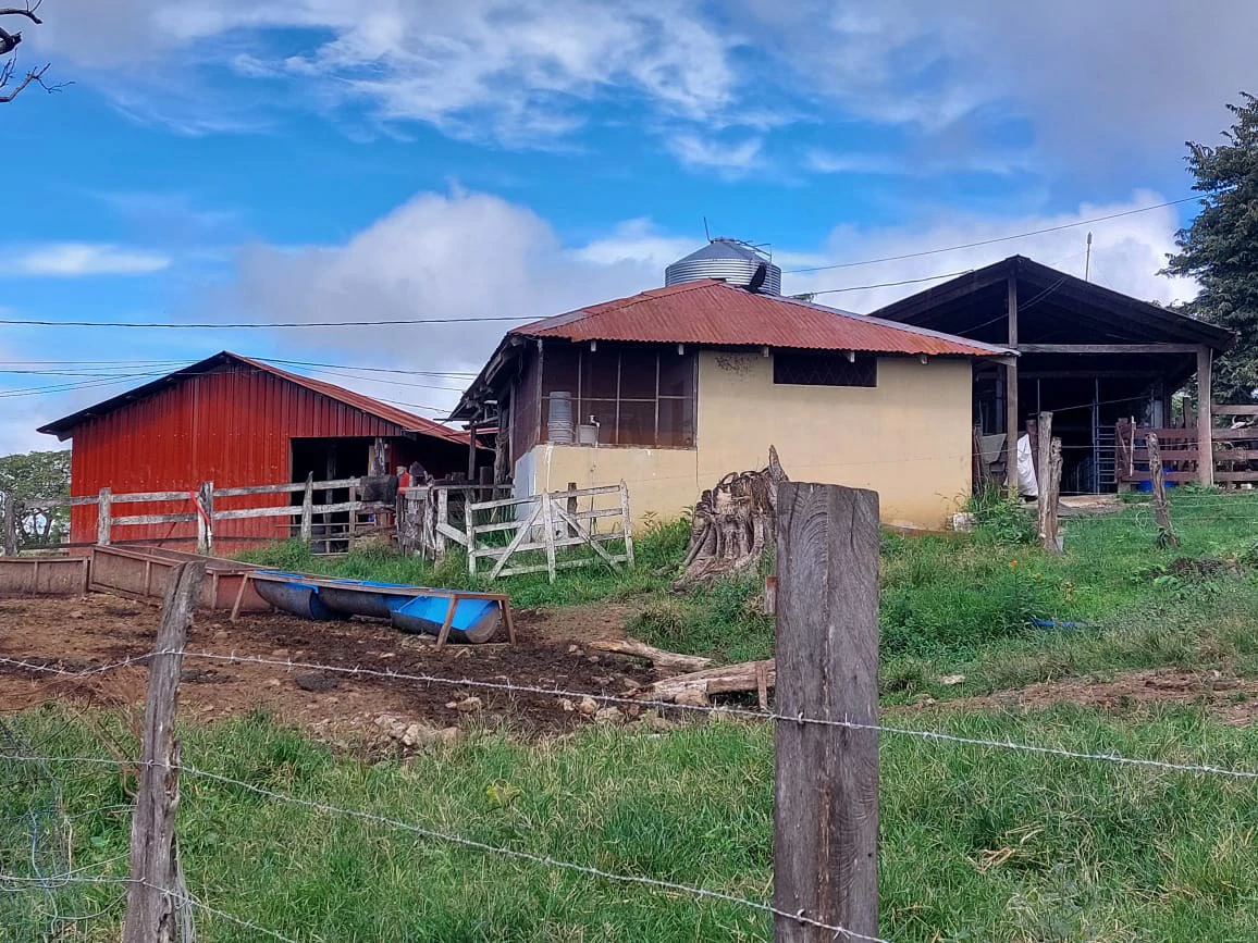 HACIENDA LOMBARDIA : Fully Operating Livestock Business - Gallery image 21