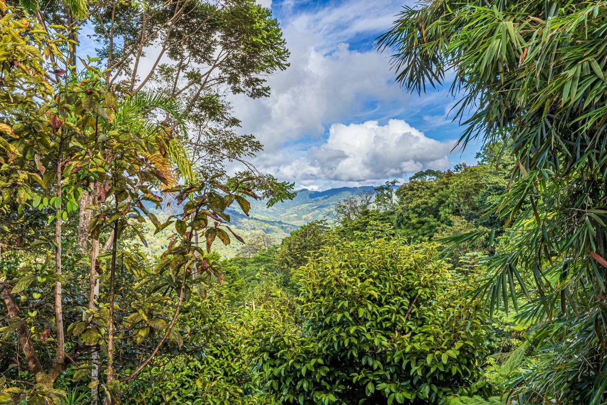 1.37 ACRES – 2 Bedroom Bali Style Home With Pool And THE BEST Ocean View!!!!! - Gallery image 22
