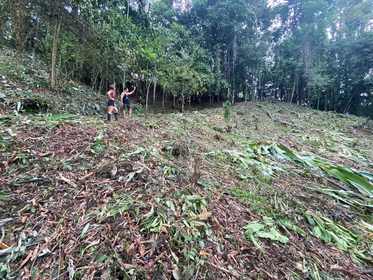 ID 1084: 5,500 sqm Lot with Mountain View in Iriria 1, Punta Uva - Gallery image 4
