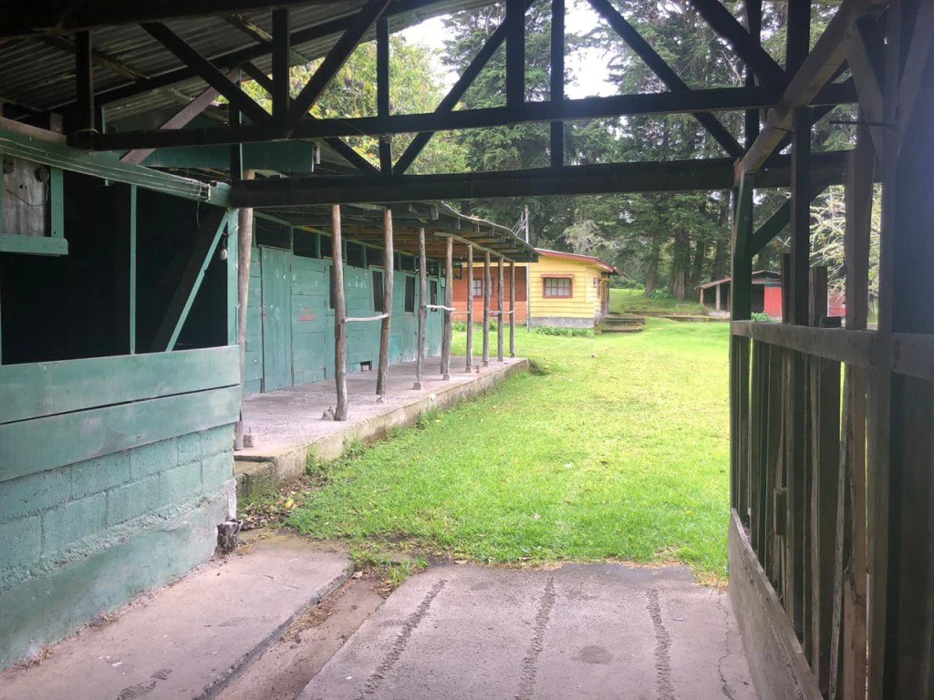 Horse ranch mountain farmland with its own stable's in San Rafael, Heredia - Gallery image 5
