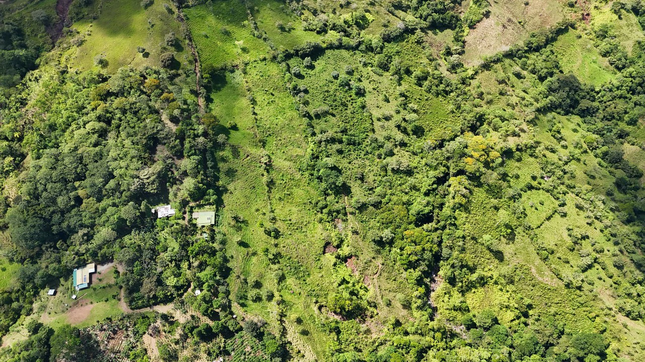 FINCA EN MIRAFLORES: Mountain Agricultural Land For Sale in El General