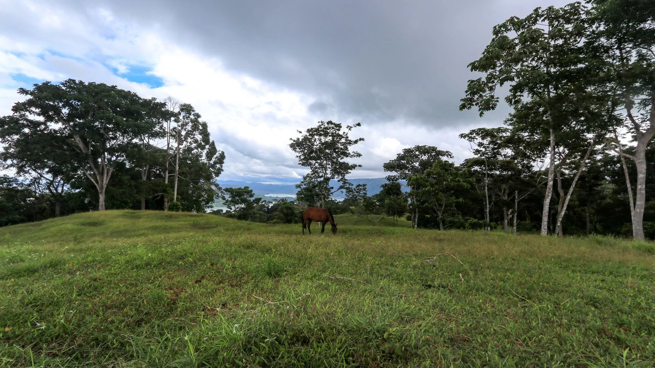 Unique Development Property Overlooking the Pristine Golfito Bay and Golfo Dulce - Gallery image 12