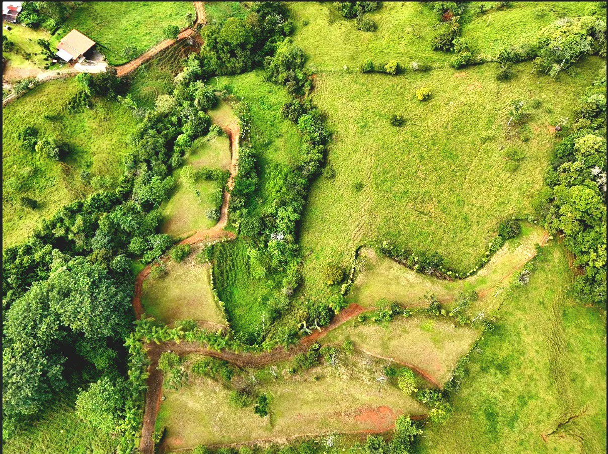 Mountain Home Construction Site For Sale in Miravalles - photo 5