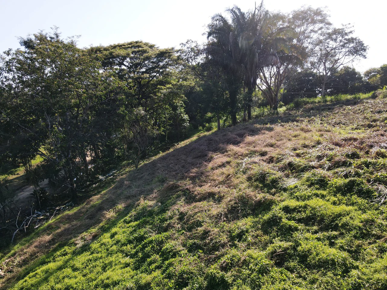 Front Row Mixed Use Property with an Easy Walk to Dominicalito Beach - Gallery image 11