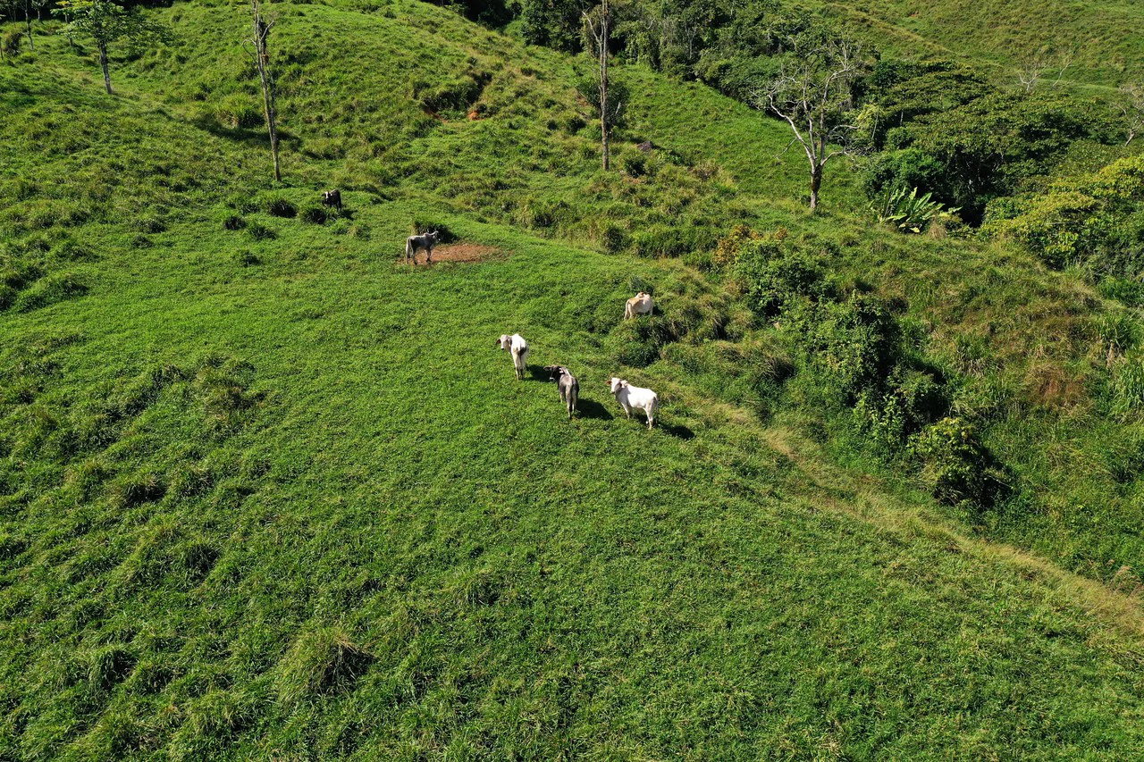 150 Acre Cattle Ranch with Panoramic Views Above the mountains of Uvita - Gallery image 24