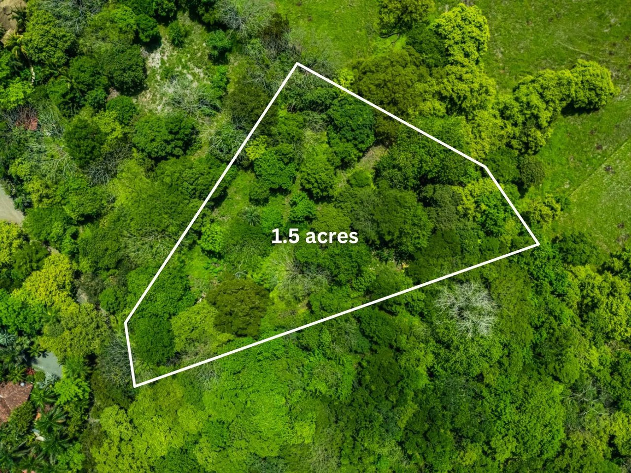 Tierra Pacifica #22: 1.5 Acre Homesite with Water Meter - Gallery image 2
