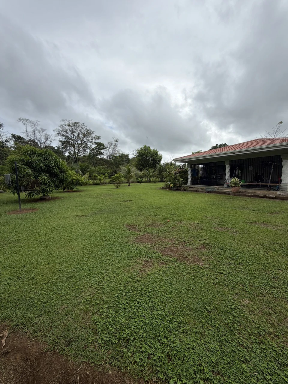 Country house with fruit trees for sales Upala Costa Rica - Gallery image 11