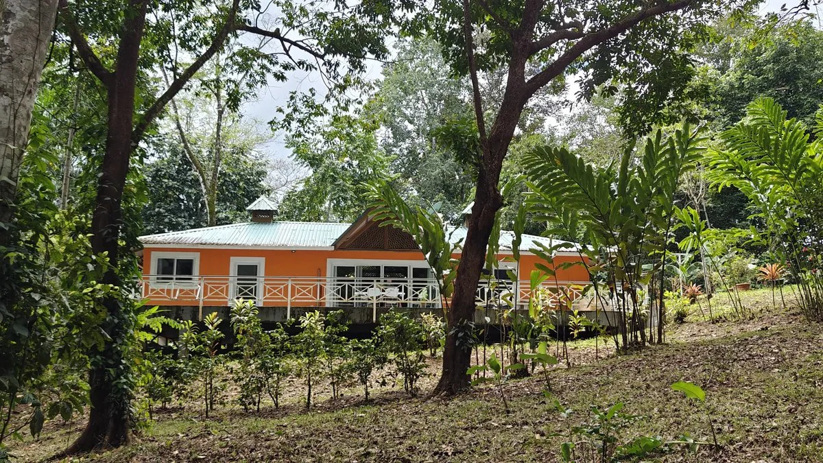 ID 1055: Elevated Jungle Residence on Expansive Riverfront Jungle Land