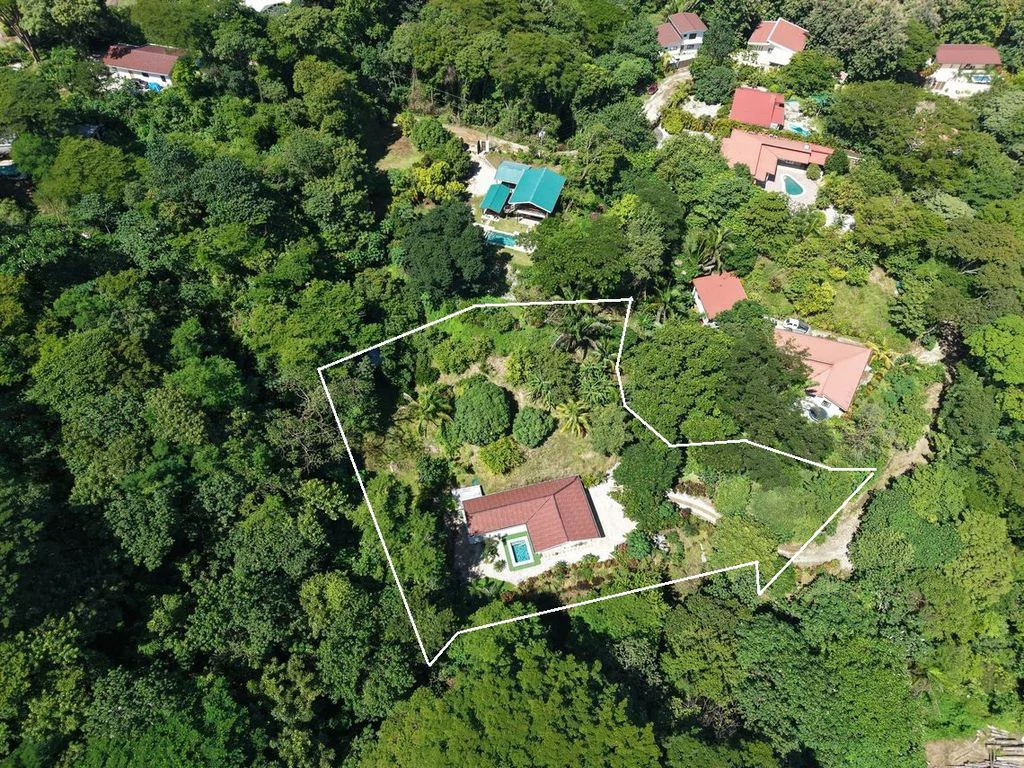 Casa Amapola: PRICE REDUCTION - Turnkey Modern Home with Pool in a Serene Tropical Setting, very close to Samara - Gallery image 5