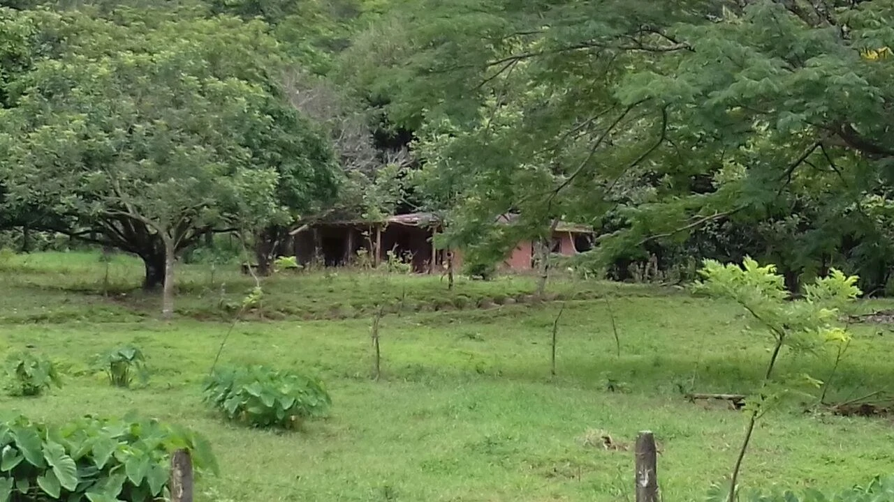 Big property with small house in Bijagua