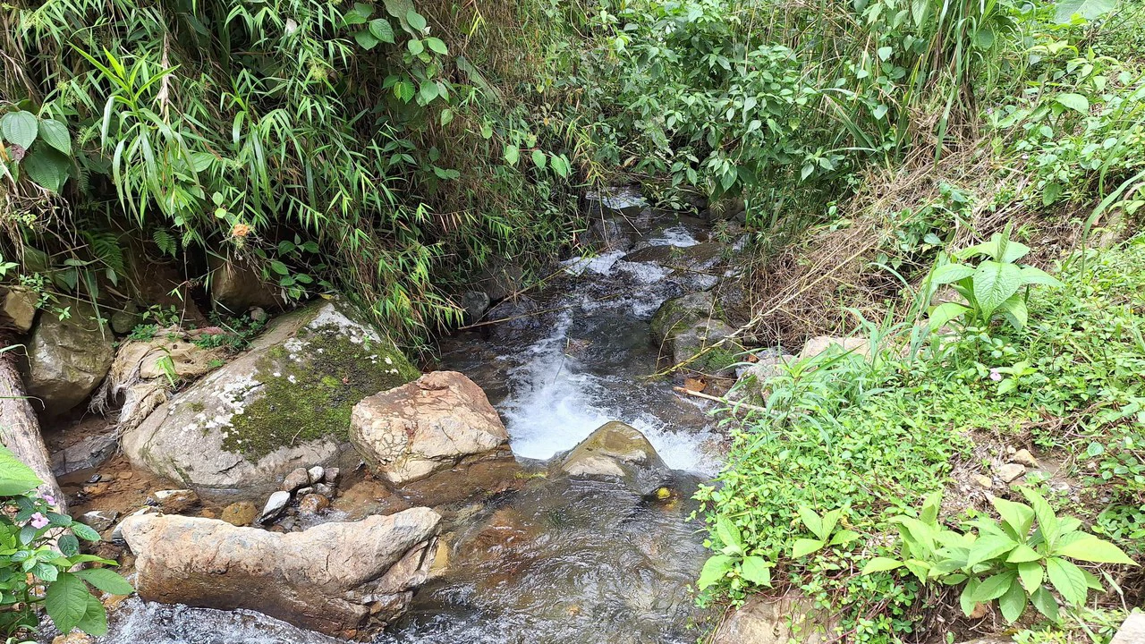 Propiedad en cedral: Mountain Home Construction Site For Sale in Cajón - Gallery image 3