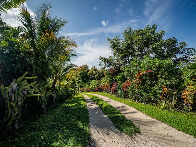 Casa Koi: Luxury 3-Hectare Hilltop Property with Stunning 360° Mountain Views, Main Home, Guest House & Workshop, Minutes from Samara - Gallery image 6