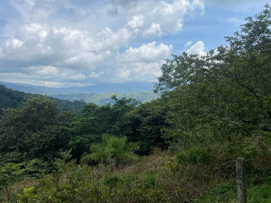 Lot for sale in Residential Vista Mar ocean and mountains view between San Mateo and Orotina Alajuela Costa Rica - Gallery image 4