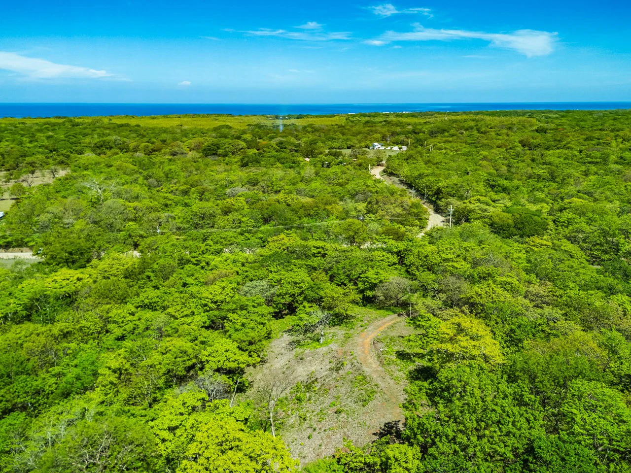 Finca 46Ha: Private Sanctuary with River and Forest - Gallery image 13