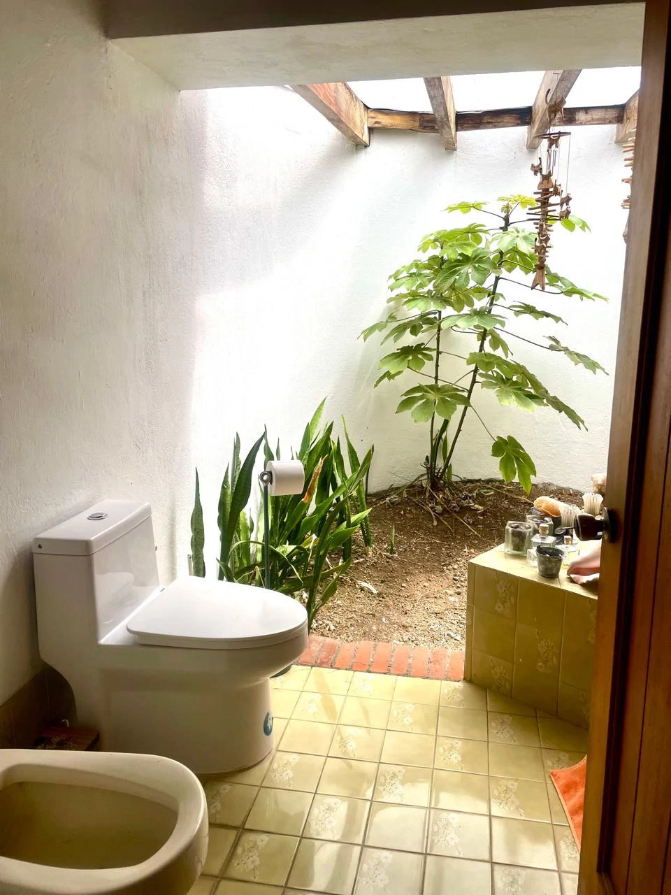 House to Remodel with 1,700 sq m of Land in Pozos, Santa Ana - Gallery image 18