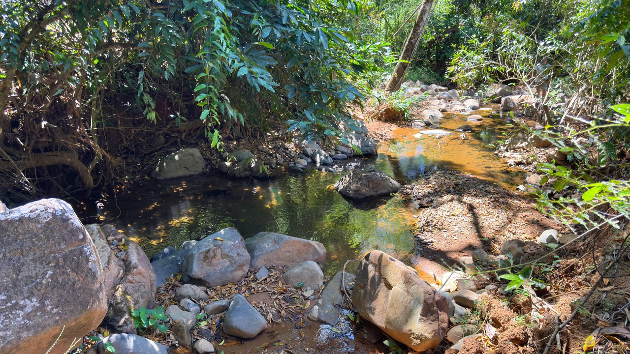 Agricultural Land For Sale in MORAZAN - Gallery image 10
