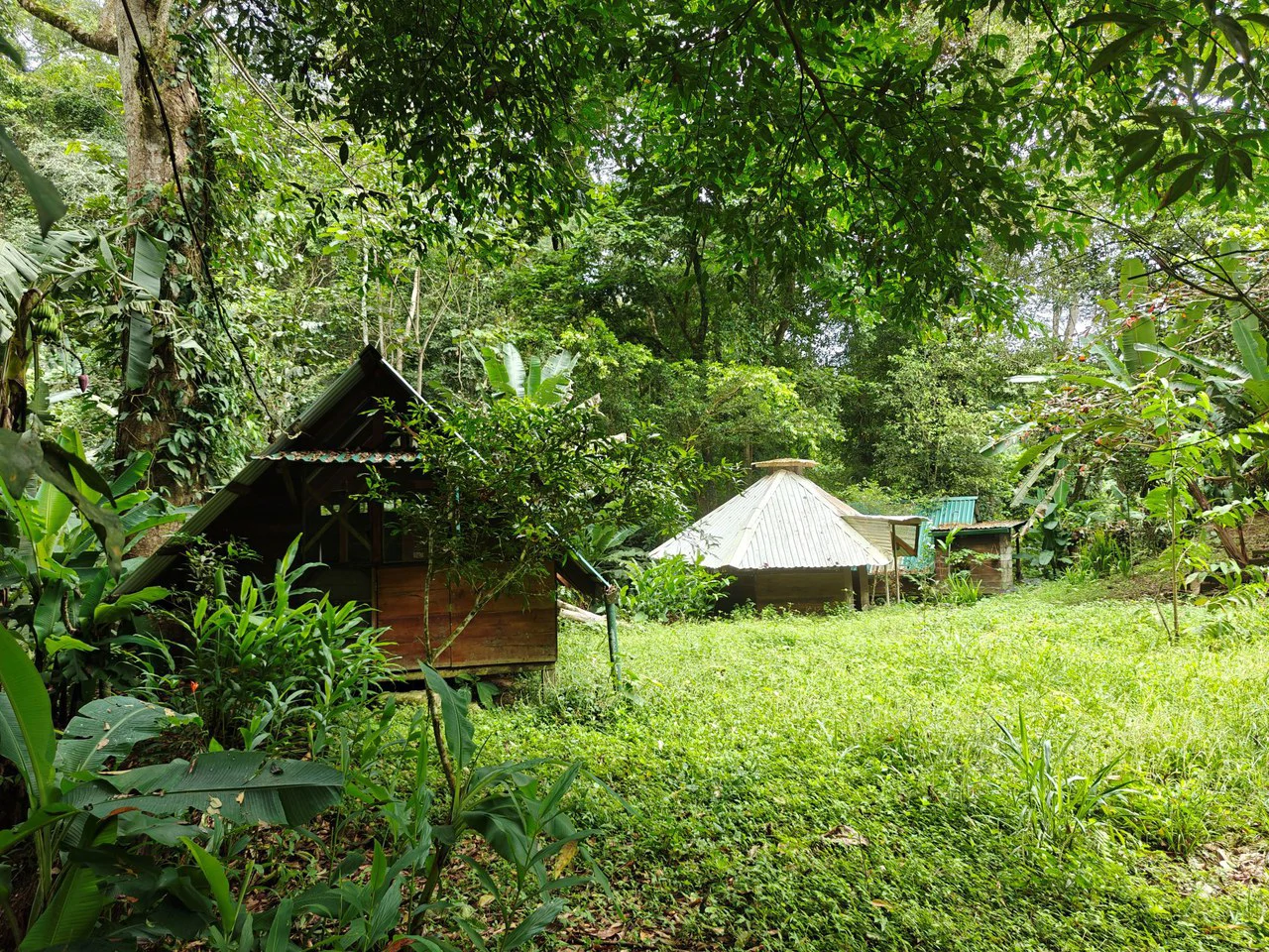 Mountain-Edge Sanctuary with Private Waterfall: 3 Titled Jungle Lots with Platforms, Waterfall, and Income Potential - Gallery image 3