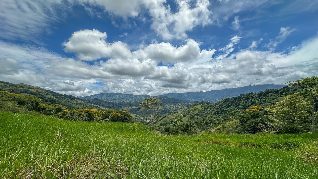 60+ Hectares in Platanillo | Own Your Own Mountain in Costa Rica - Gallery image 14