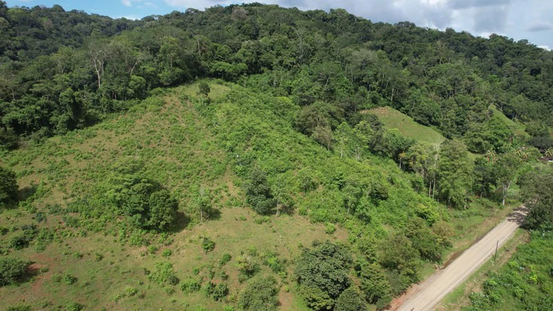 Ocean View & Primary forest 55-ha Rincon de Osa - Gallery image 10