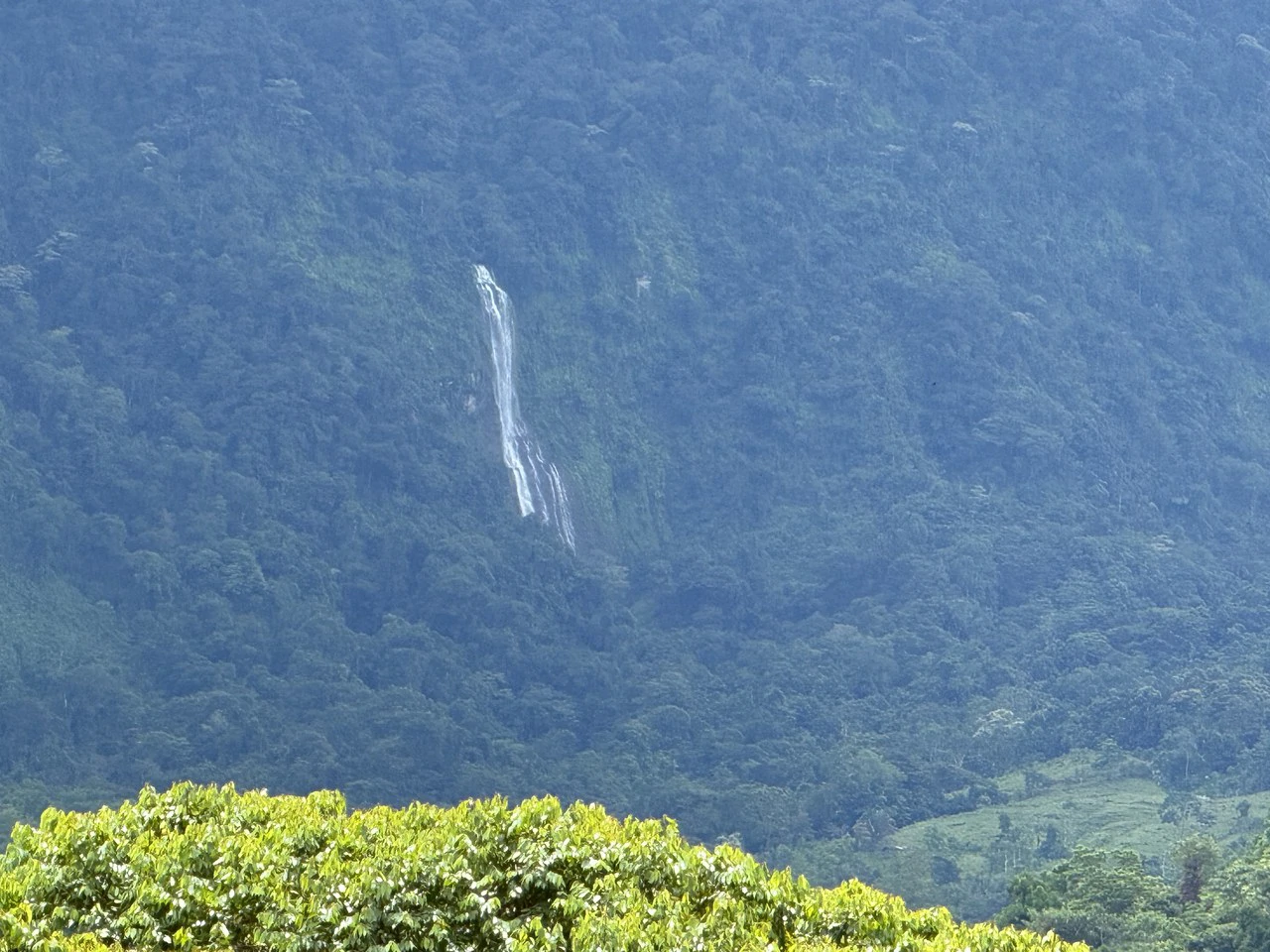 Diamante Waterfall View Land in Dominical 2.9 Acres - Gallery image 20
