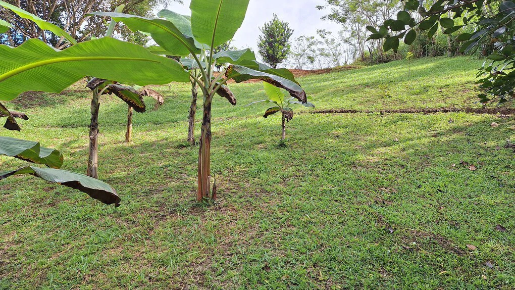 Countryside Home Construction Site For Sale in El Rosario de Pacuar - Gallery image 6
