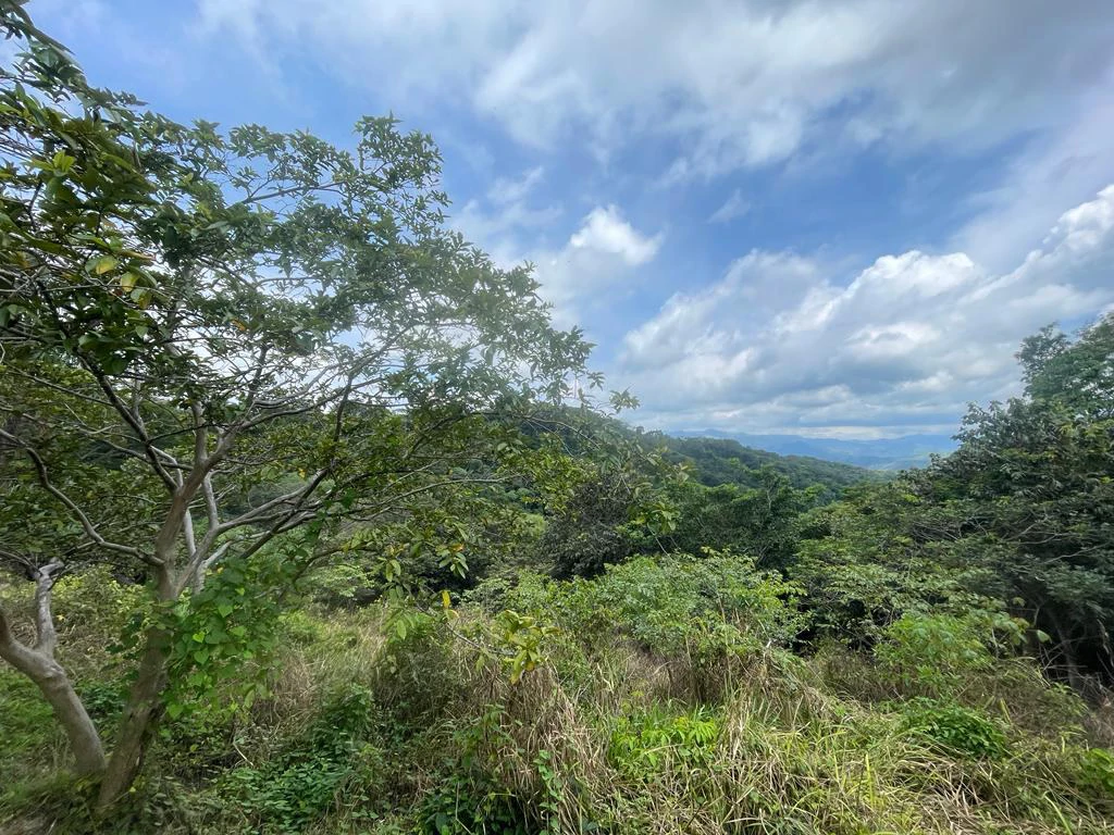 Lot for sale in Residential Vista Mar ocean and mountains view between San Mateo and Orotina Alajuela Costa Rica