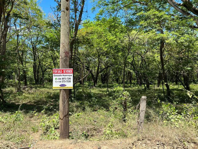 5.67 Hectares in Puerto Viejo: Prime Development Parcel Just 2 Mins from the Beach - Gallery image 6