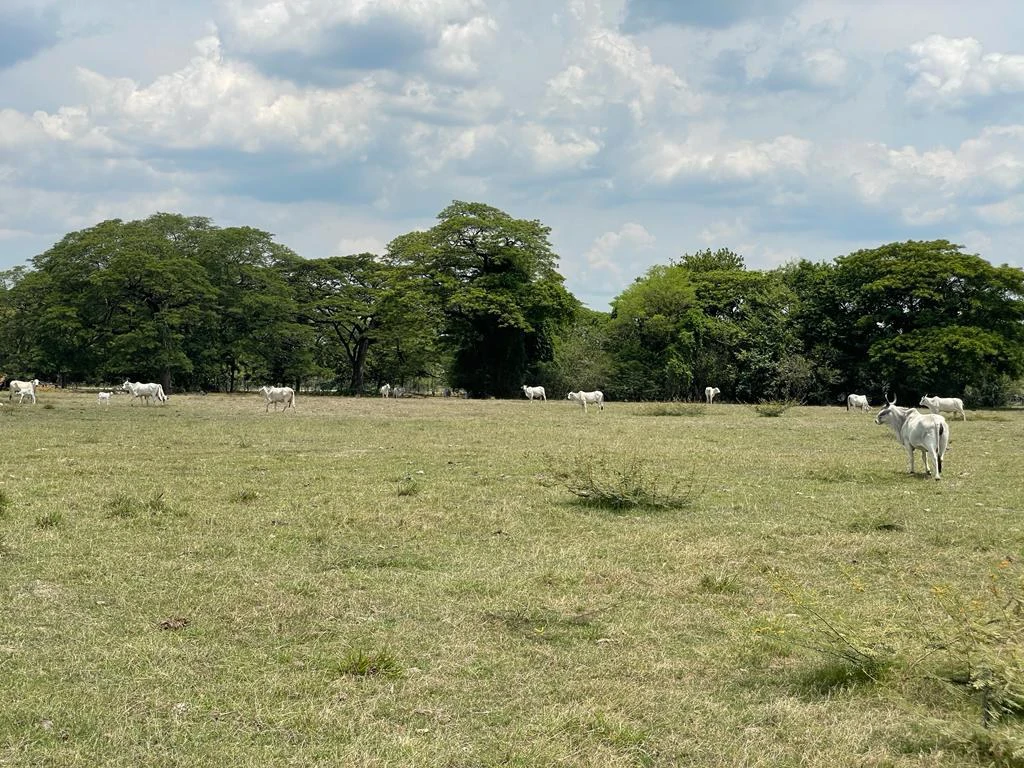 Farm for Sale to Develop Guanacaste Costa Rica - Gallery image 2