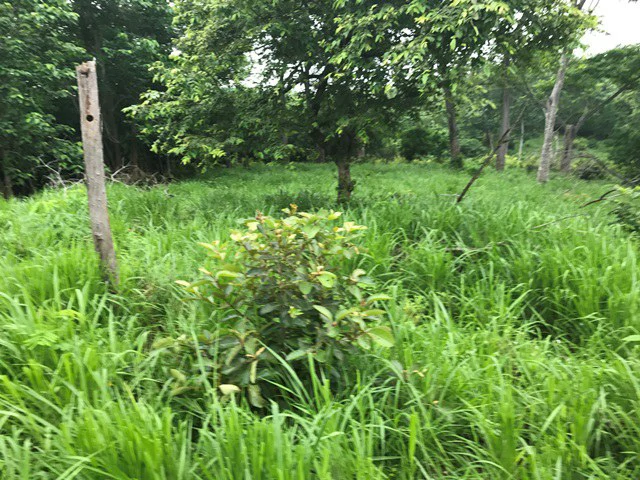 Ocean View Farm - Gallery image 14