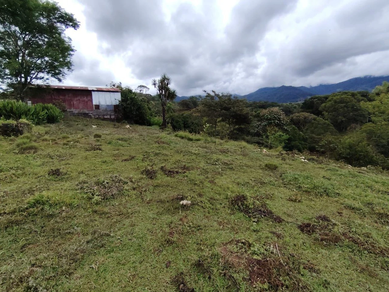 PROPIEDAD EN VENTA, UBICADA EN SANTA ELENA, PEREZ ZELEDON: Mountain Home Construction Site For Sale in Cajón - Gallery image 14