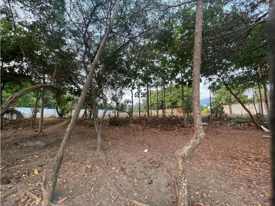 Jaco Luxury Ocean Front Lot - Gallery image 14