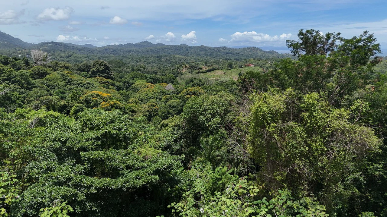 Exquisite Jungle property with Ocean View | Gated Community in Ojochal 3 - Gallery image 4