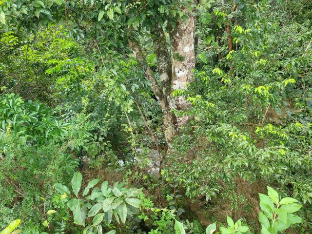 Charming property for sale in Nueva Guatemala with stunning views of the Tenorio Volcano and the beautiful green valleys - Gallery image 8