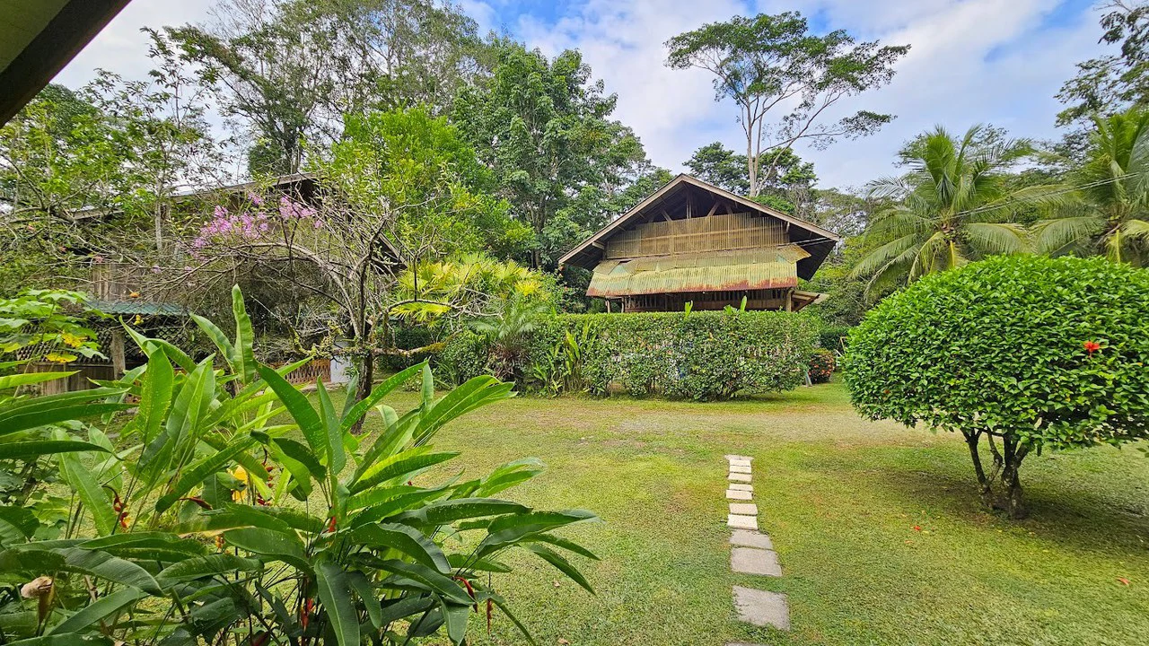 ID 4184: Four House Property near Cahuita,  3km from the Beach - Gallery image 6