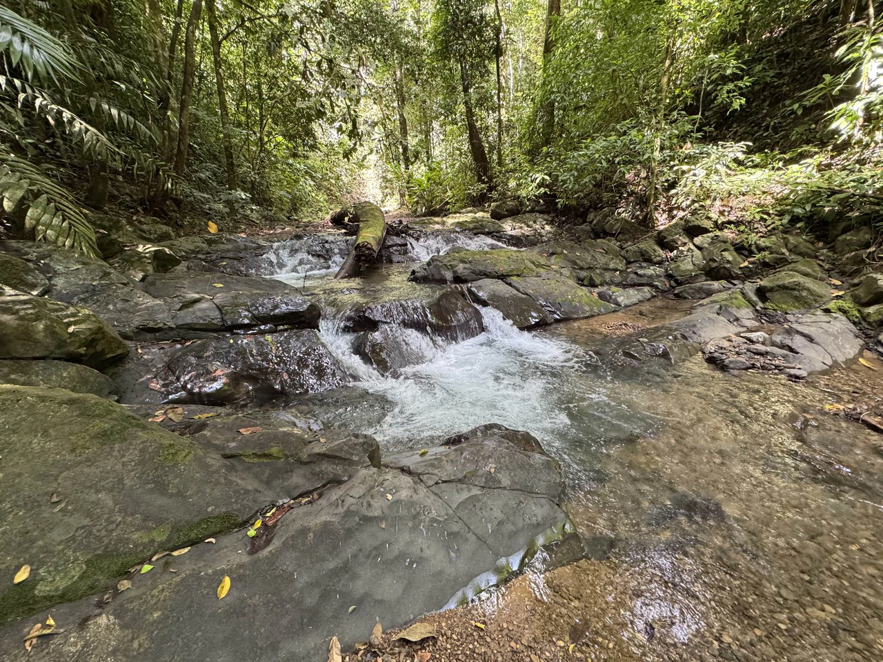 23.5 Acre Waterfall & Riverfront Estate Bahia Ballena Osa Peninsula - Gallery image 9