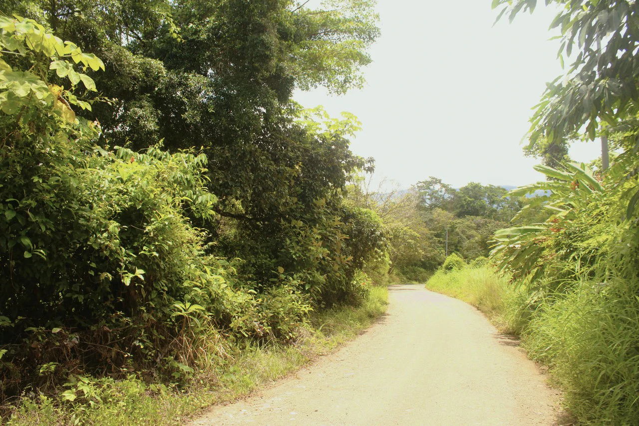 Wildlife Reserve Farm close to Ojochal - photo 2