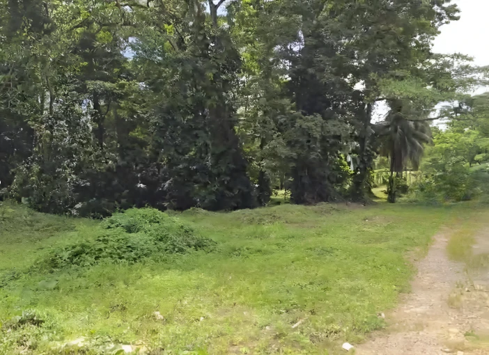 Near the Coast Development Parcel For Sale in Moin - Gallery image 3