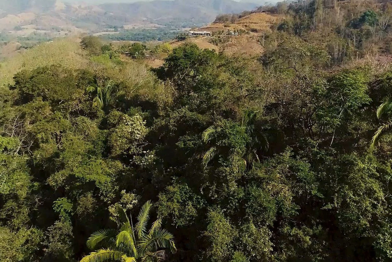 Finca Las Nubes: Amazing 75 Hectare / 185 Acre Finca, with a 300 m2 Main Home and Pool Built above the Clouds - Gallery image 26