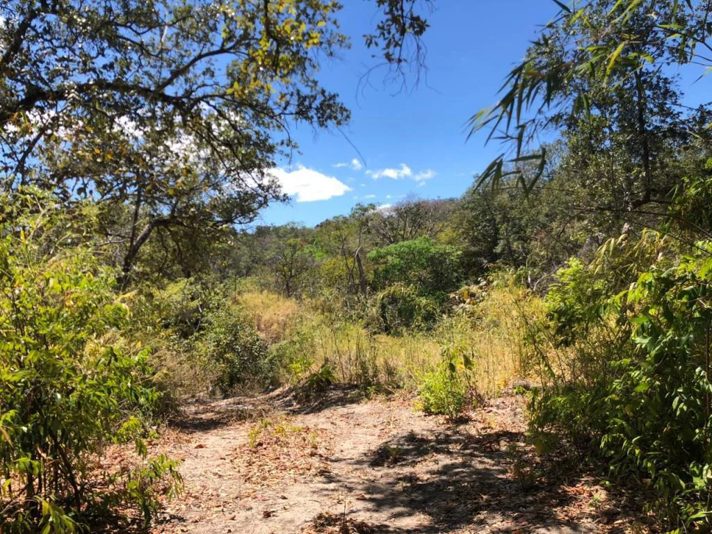 Big Farm: Property of 231 hectares in the Salto de Bagaces - Gallery image 9