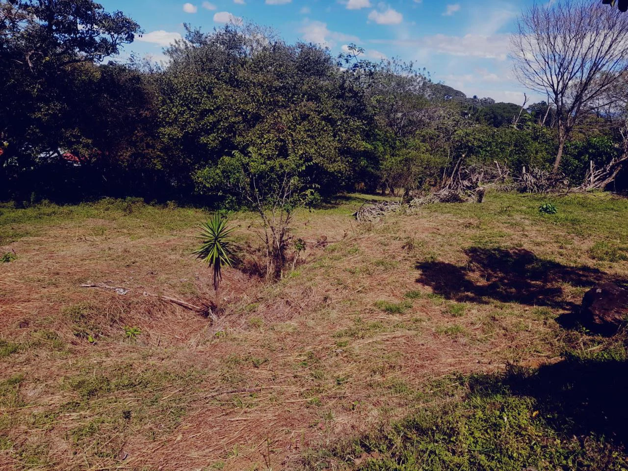 Development Land for Sale in La Garita, Alajuela | 37,000 m² | Commercial & Tourism Zoning - Gallery image 4