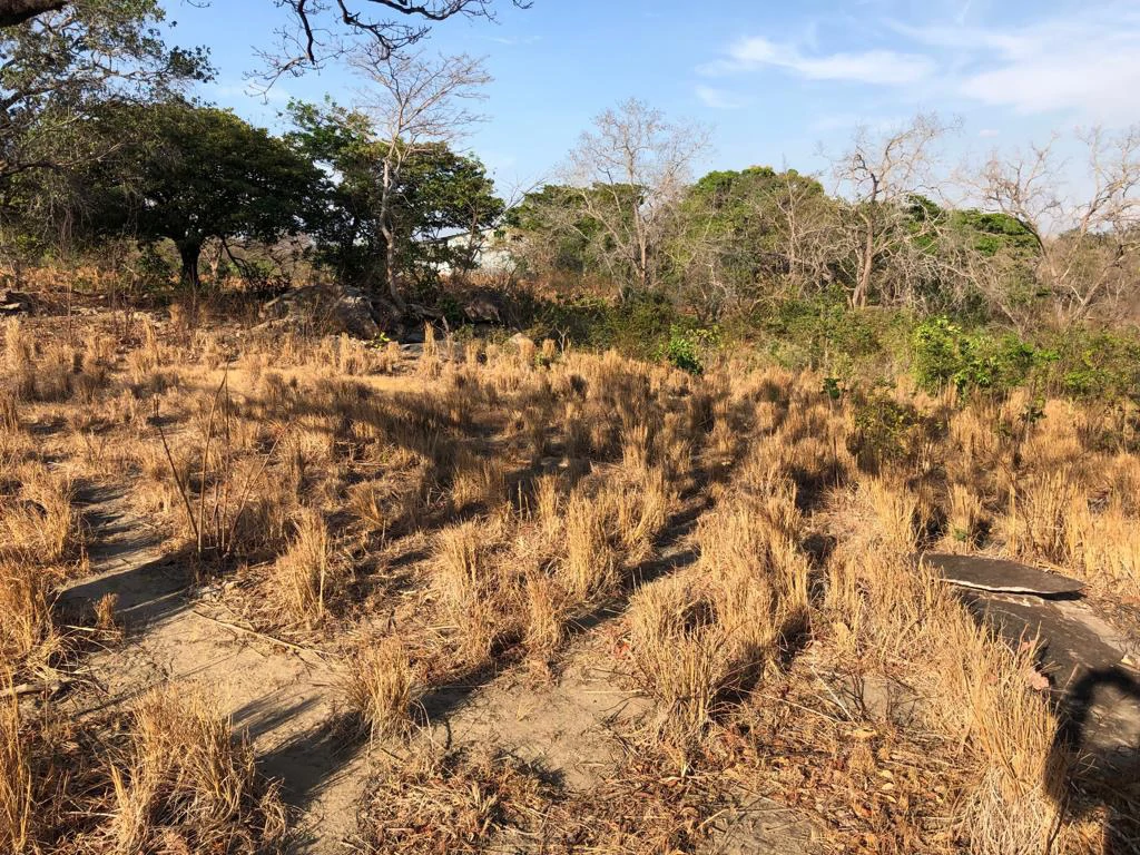 Airport Property - in front of route 21, Liberia - Gallery image 13