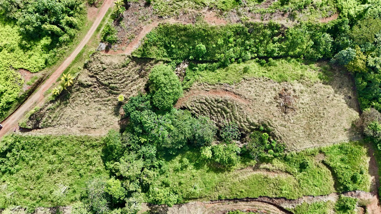 Off-Grid Ocean View Lot | 1.7 Acres in Las Nubes Matapalo Hills - Gallery image 15