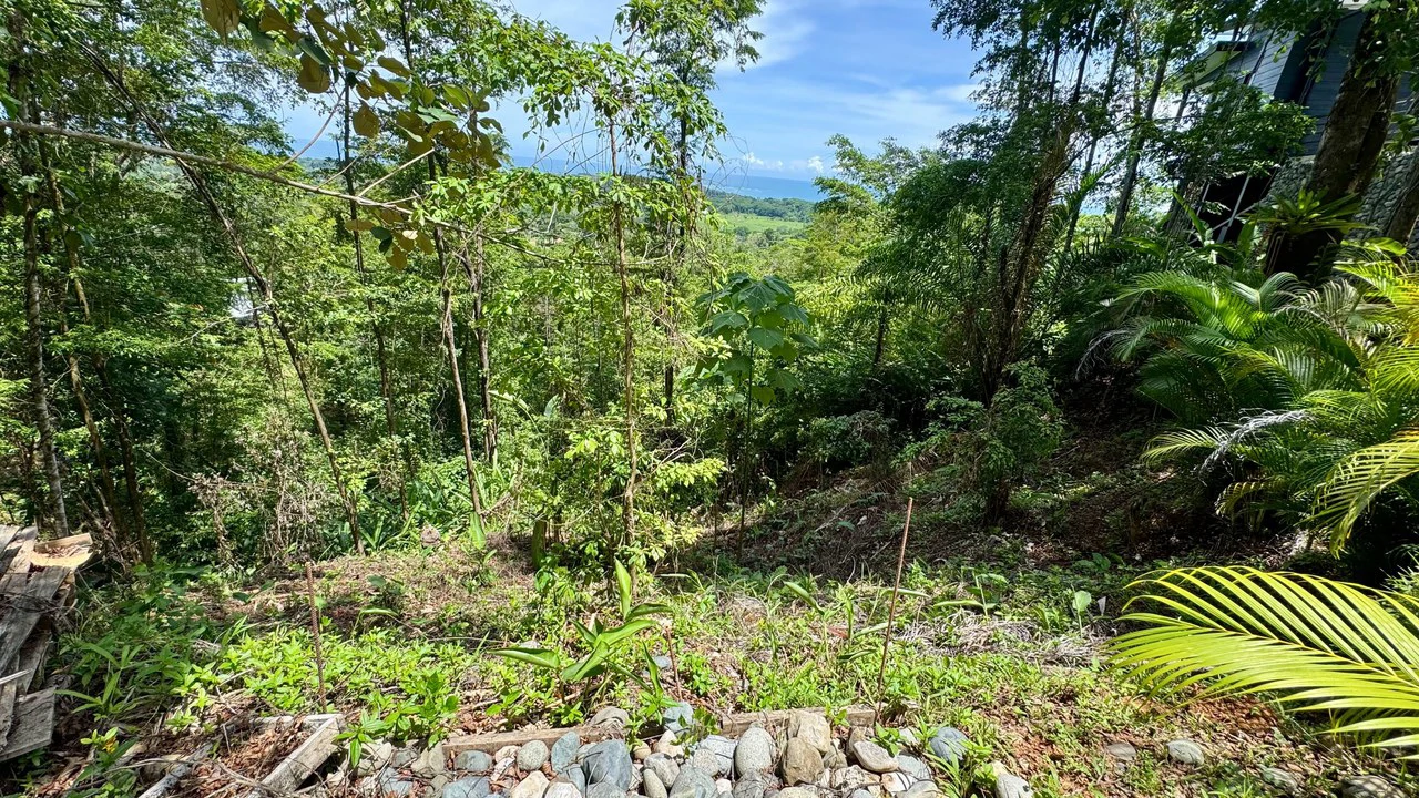 Exclusive and Unique Ocean Views lot in the Hills of Uvita! - Gallery image 3